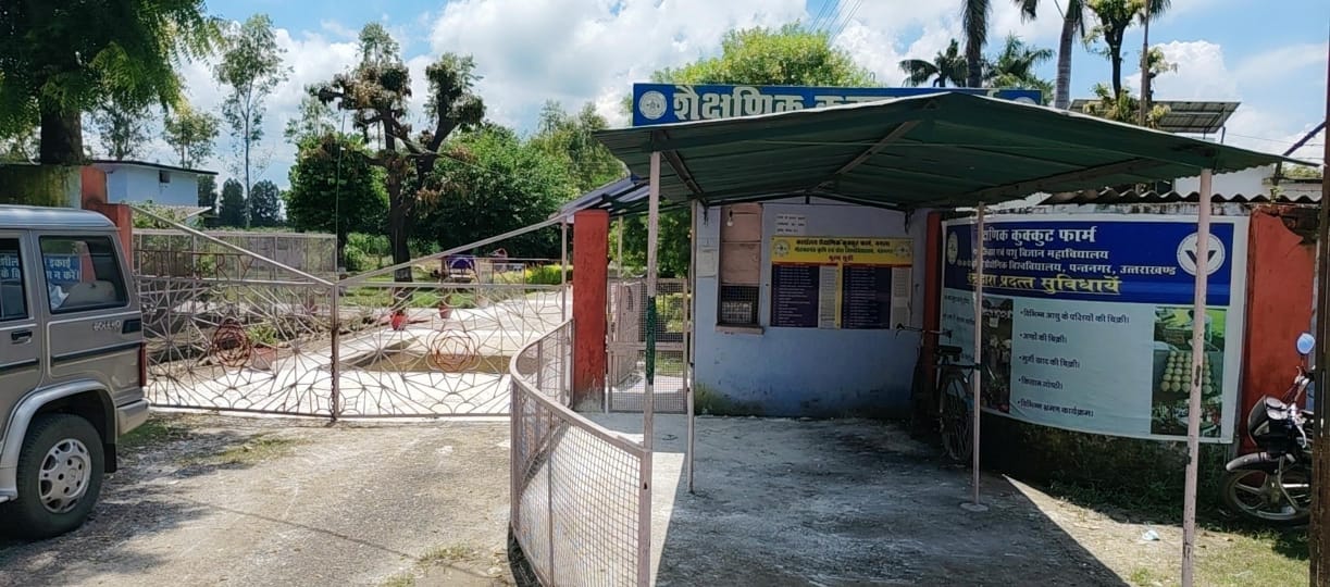 शैक्षणिक कुक्कुट फार्म को किया सीज बर्ड फ्लू की पुष्टि के बाद 5432 मुर्गियां दफन ,