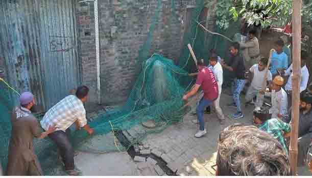 मकान में घुसा तेंदुआ…तीन बच्चों ने कर लिया कैद, ऐसे दिखाई सूझबूझ; देखने को उमड़ी भारी भीड़