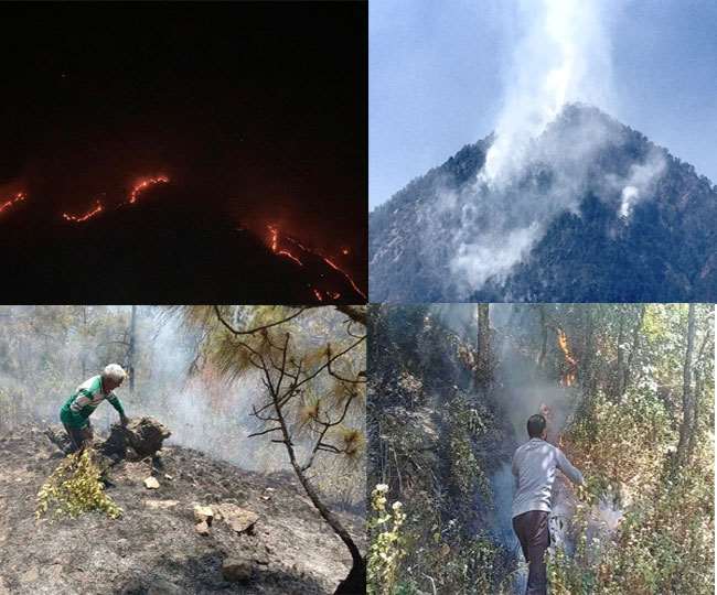 उत्तराखण्ड में गर्मी बनी आफत, जंगलों की आग हुई विकराल, अब तक 272 स्थानों पर धधके जंगल