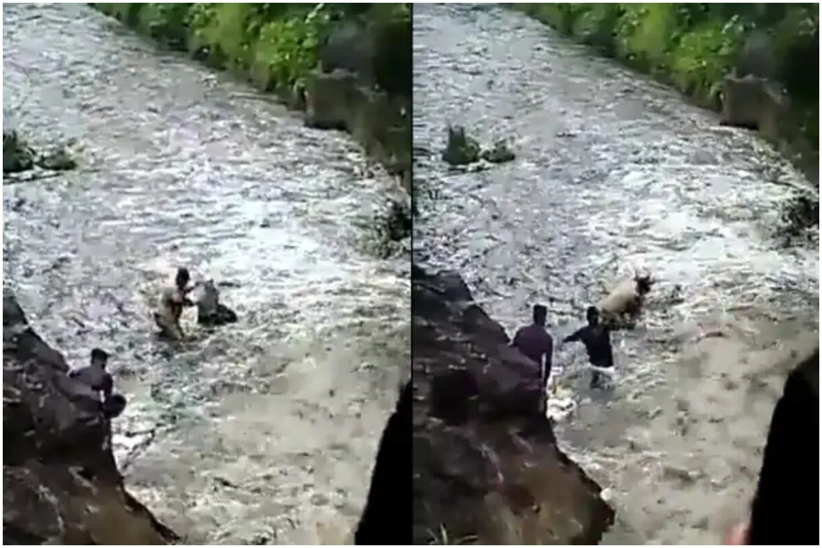 पुणे में कॉन्स्टेबल ने अपनी जान पर खेलकर ग्रामीण को बचाया, रेस्क्यू का वीडियो सोशल मीडिया पर वायरल