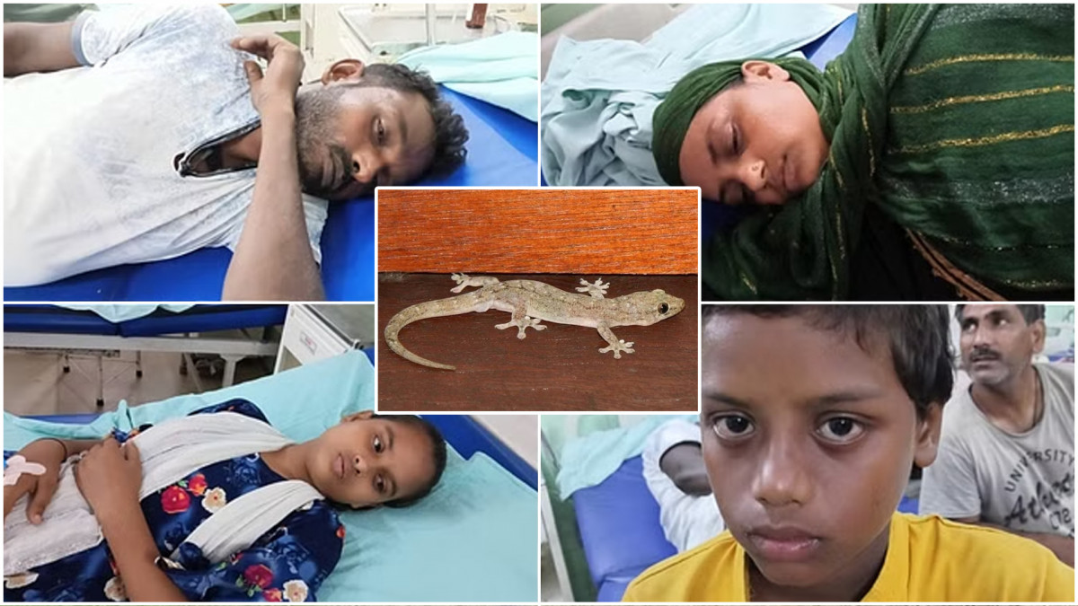 सब्जी में गिरकर पकी छिपकली, चार लोगों की हालत बिगड़ी