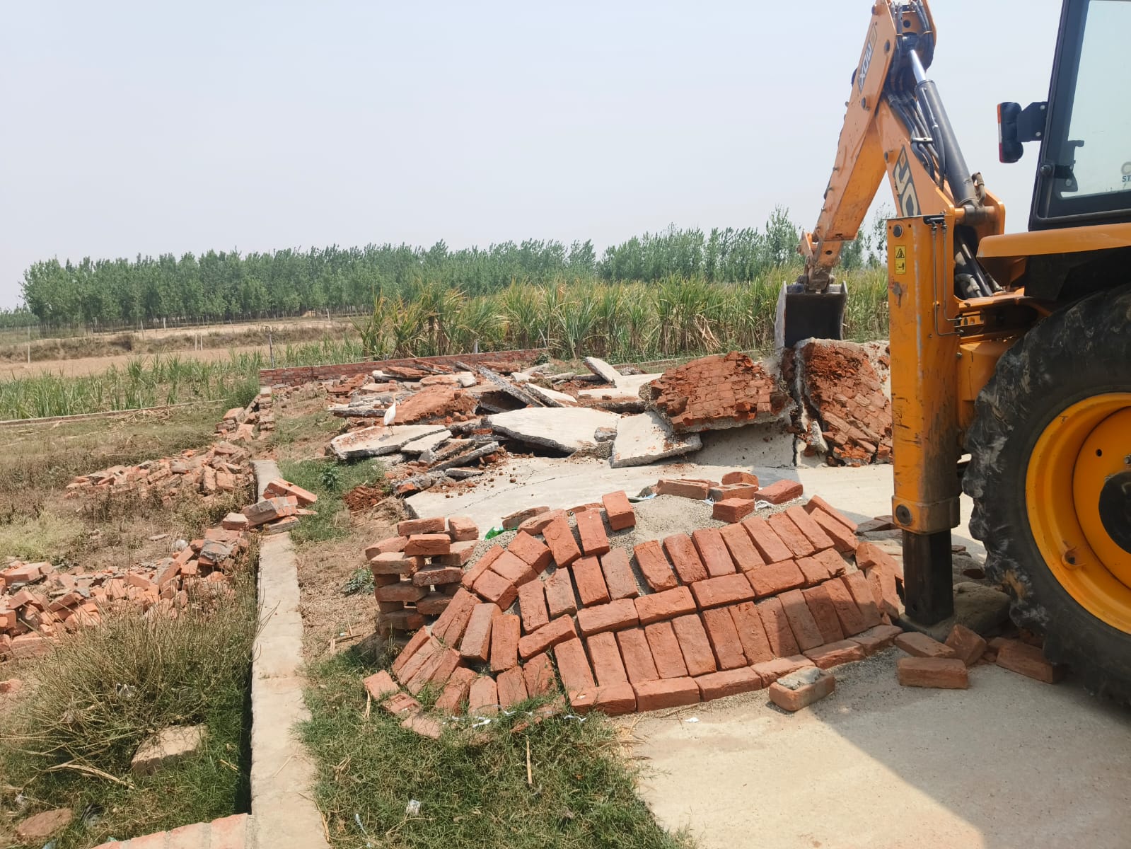 बीडीए का बड़ा अभियान पीलीभीत रोड पर 5 अवैध कॉलोनियों को किया ध्वस्त