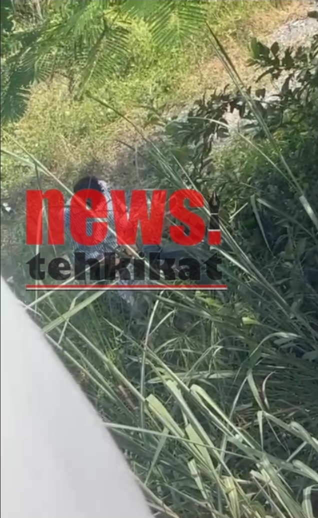 रुद्रपुर : सरदार भगत सिंह डिग्री कॉलेज बना अय्याशी का अड्डा छात्राओं की सुरक्षा पर उठे सवाल, प्रशासन मौन