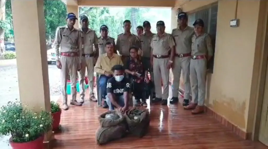 दुकान संचालक चिकन शॉप में बेच रहा था जिंदा कछुए वन विभाग की टीम ने 42 जिंदा कछुओ के साथ एक आरोपी को किया गिरफ्तार