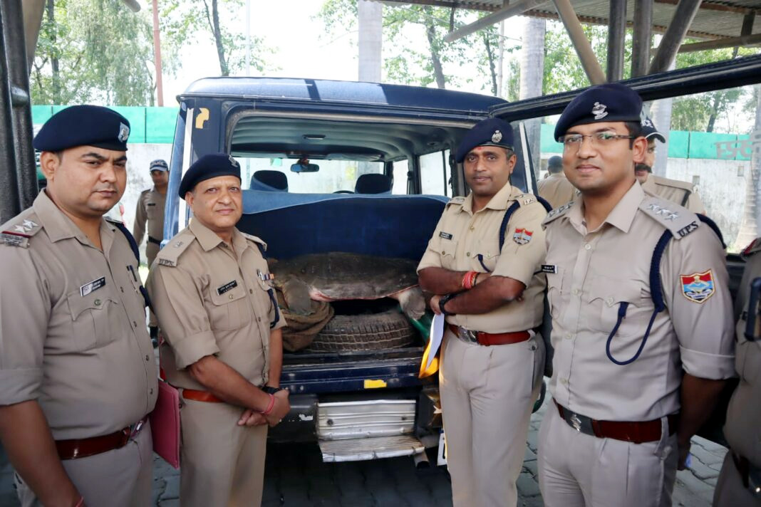 40 किलो से अधिक बजनी कछुआ के साथ एक तस्कर गिरफ्तार