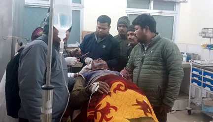 जानवर चराने गए बुजुर्ग पर भालू ने किया हमला, गंभीर